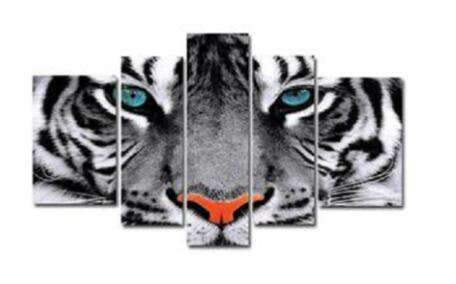 diamond painting vijfluik tijger met blauwe ogen