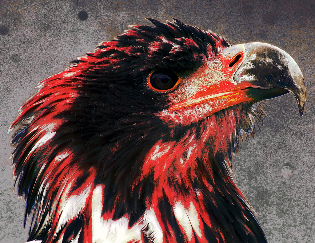 diamond painting arend