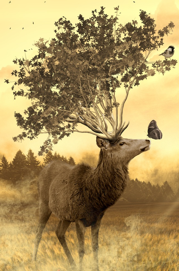 diamond painting hert dierenrijk