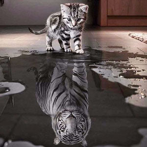 diamond painting kat spiegelbeeld tijger