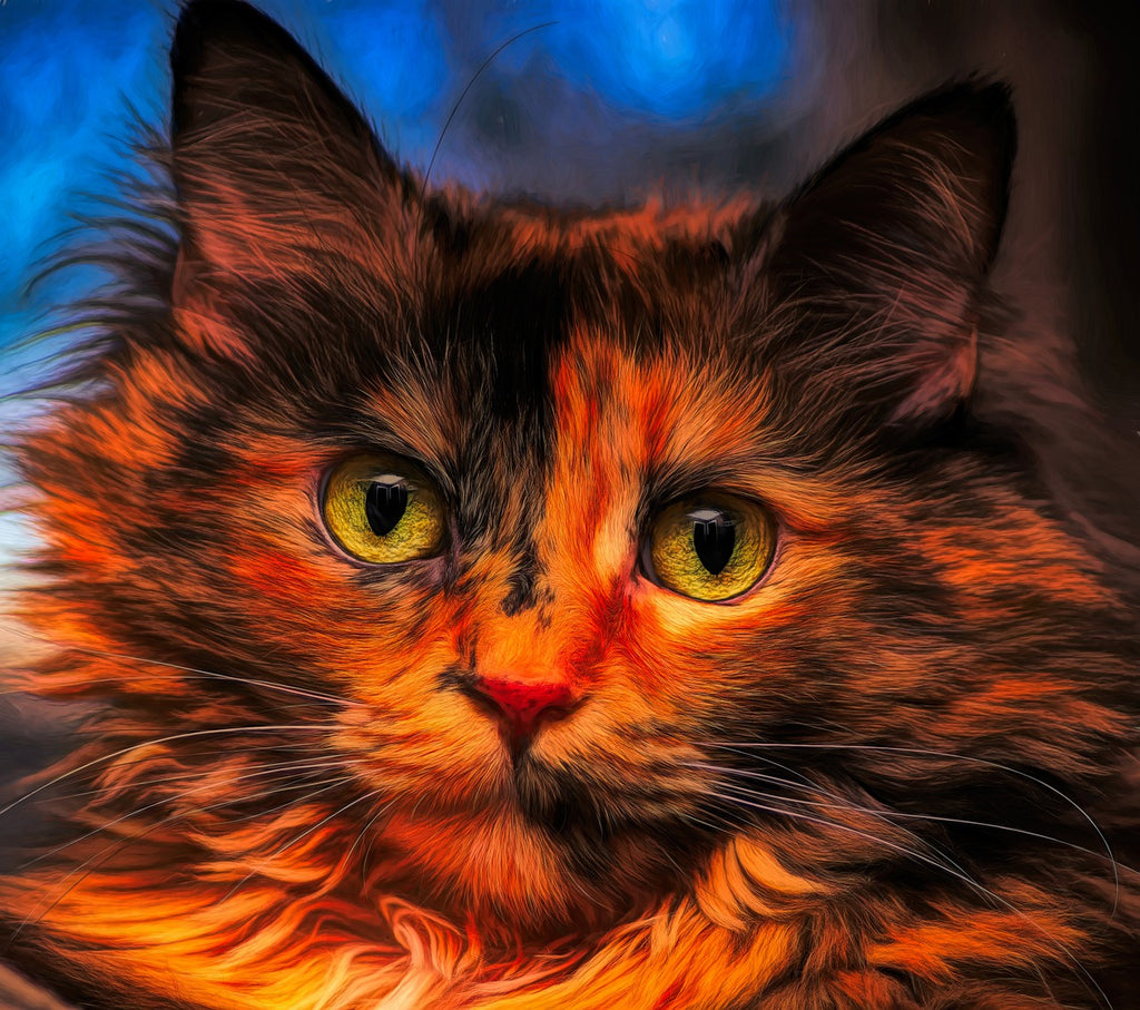 diamond painting kat close up