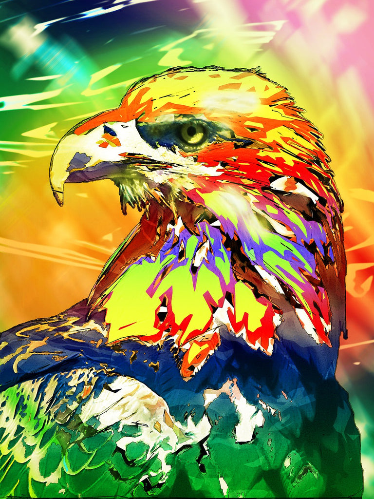 Diamond painting kleurrijke arend