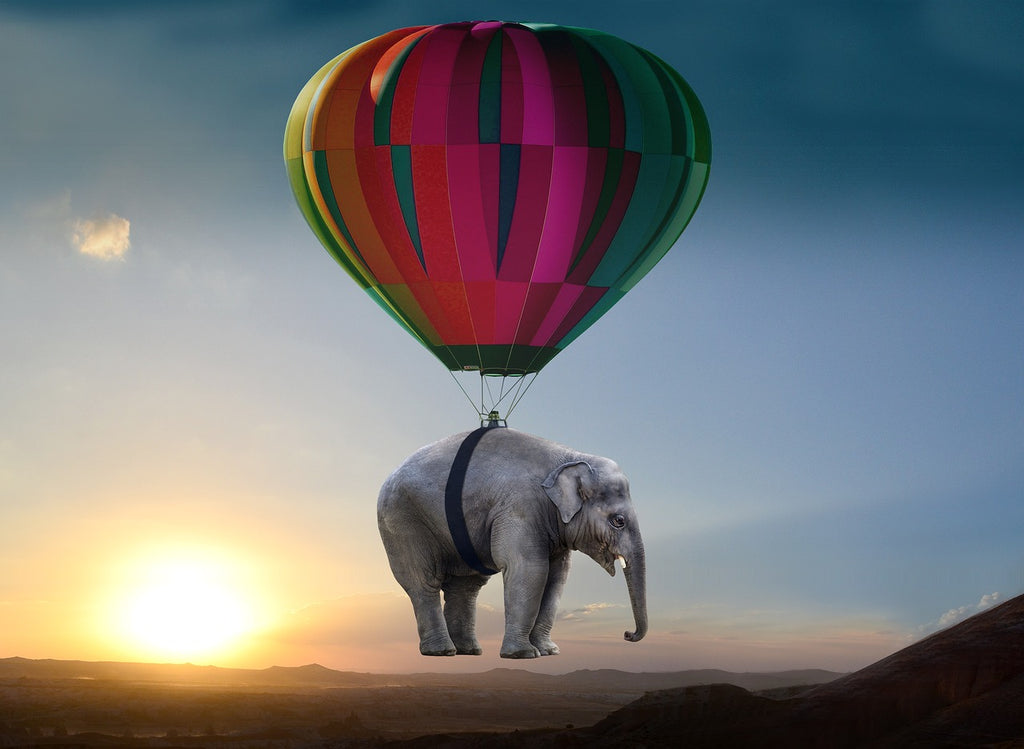Diamond painting olifant hangt aan luchtballon