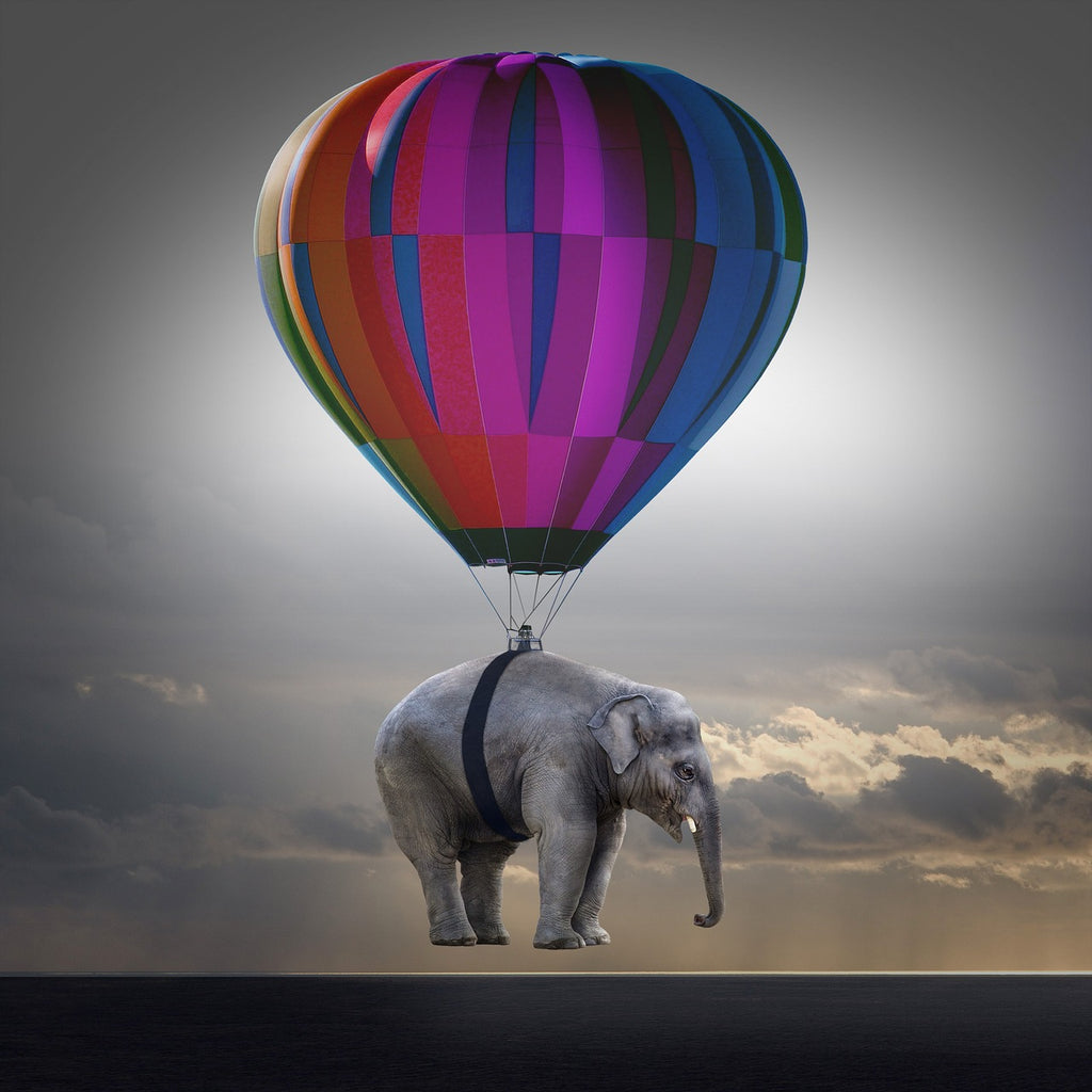 Diamond painting olifant luchtballon
