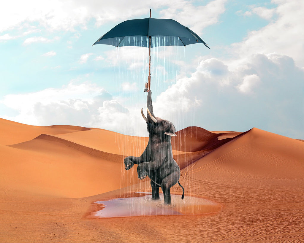 Diamond painting olifant regen woestijn