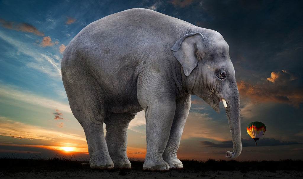 diamond painting olifant steppe