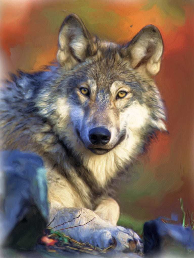 Diamond painting wolf