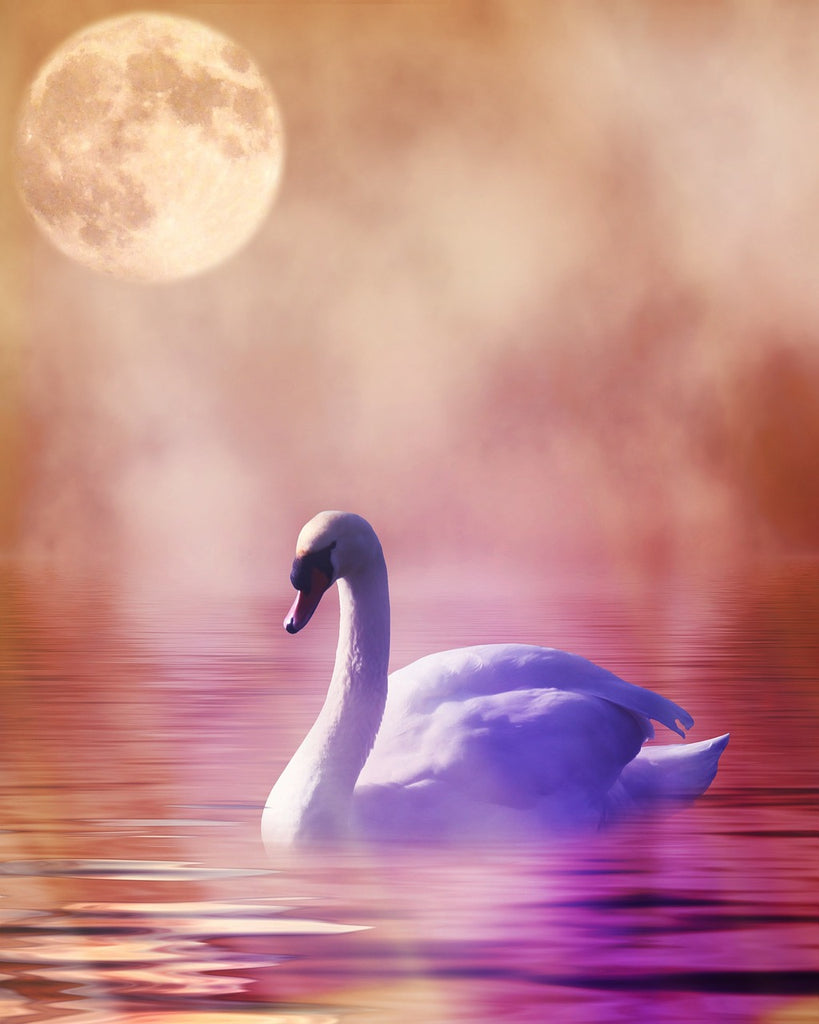diamond painting zwaan romantisch