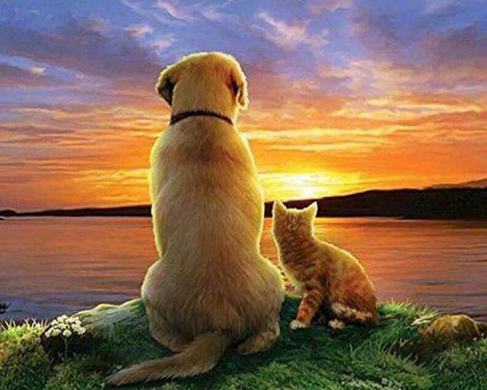 Diamond painting hond en kat zonsondergang