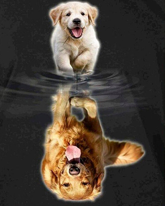 diamond painting labradore hond spiegelbeeld