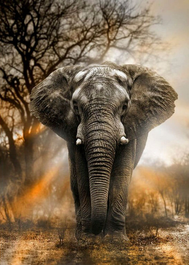 diamond painting olifant afrika