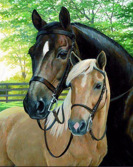diamond painting paarden zwart en bruin