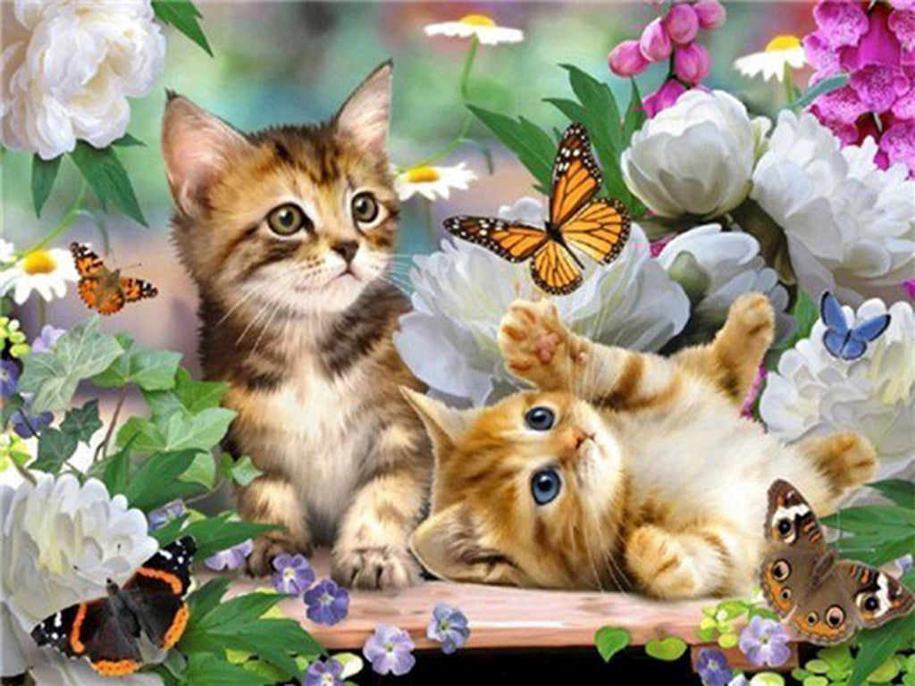 pasen-kittens-vlinder