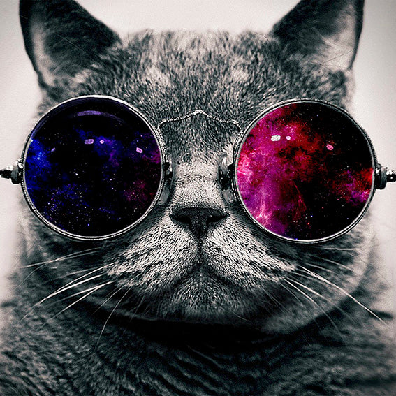 space-kat