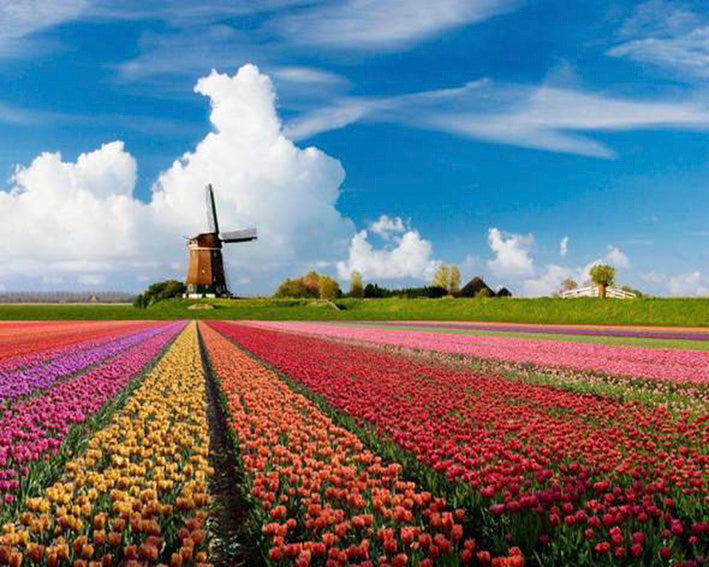 Diamond painting windmolen en tulpen in Holland