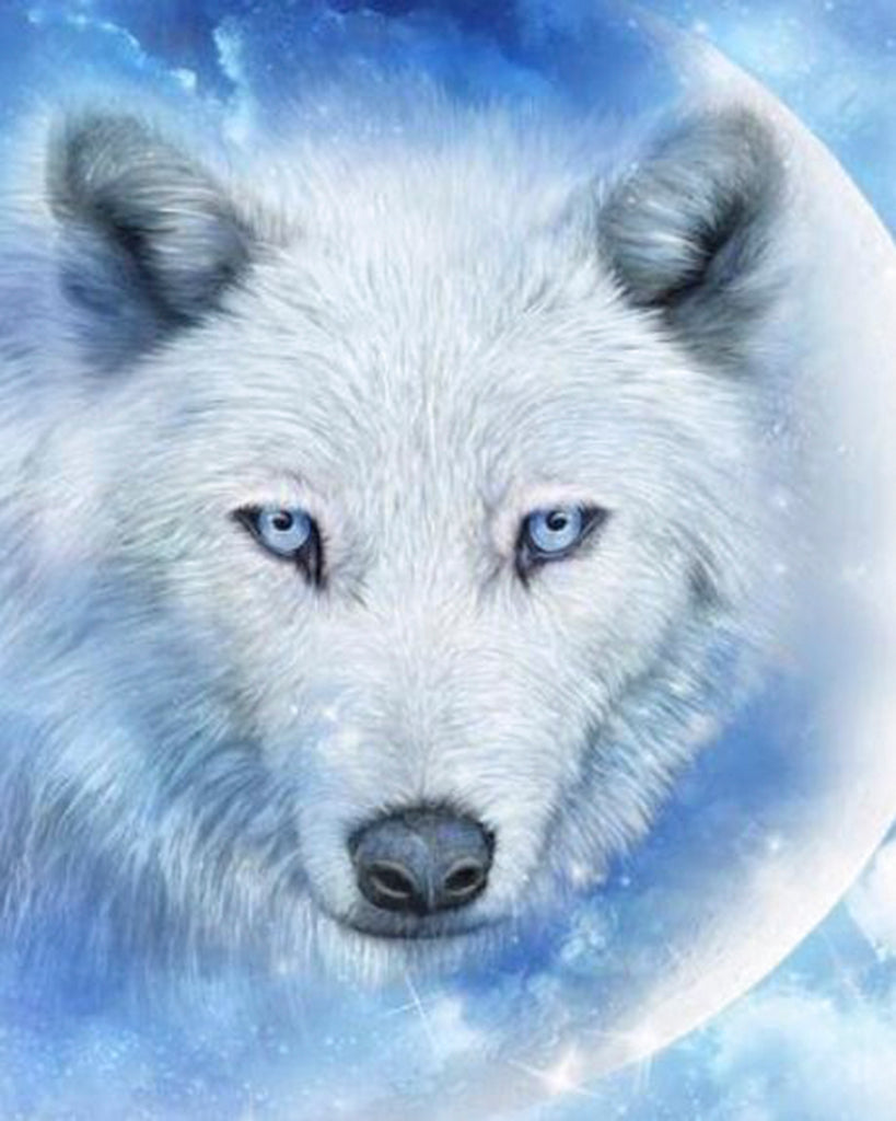 Diamond painting witte wolf